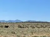 262 Fenceline, Carrizozo, NM 88301 - Image #2
