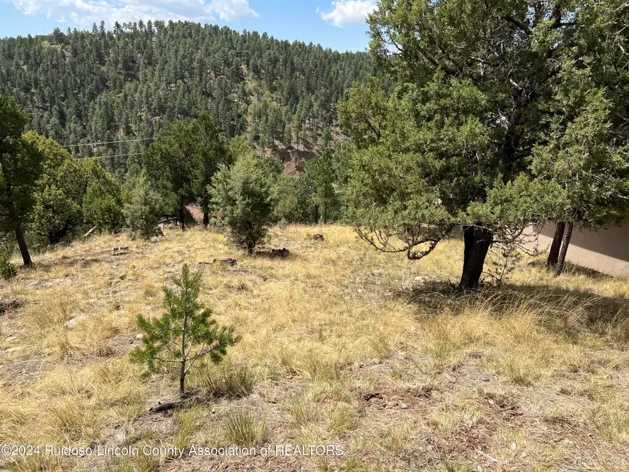 168 Crown Ridge Road, Alto, NM 88312 - Image #3