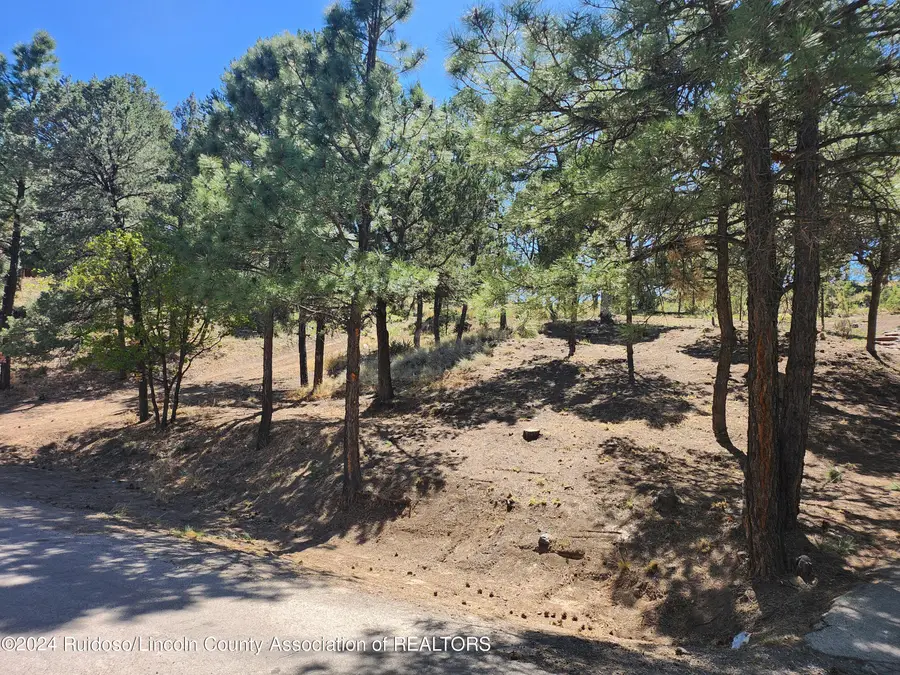 104 Catron Road, Ruidoso, NM 88345 - #2
