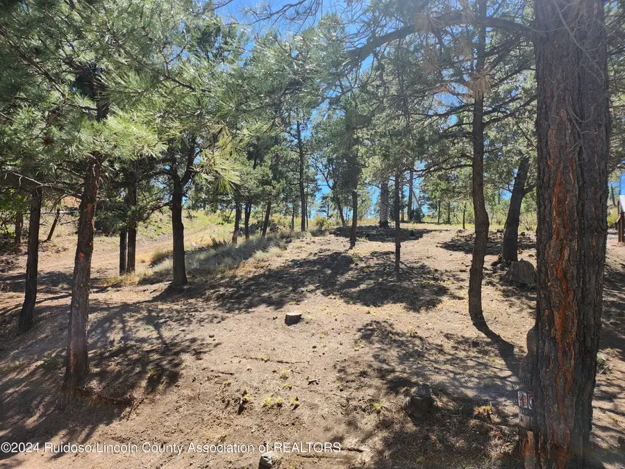 104 Catron Road, Ruidoso, NM 88345 - #3