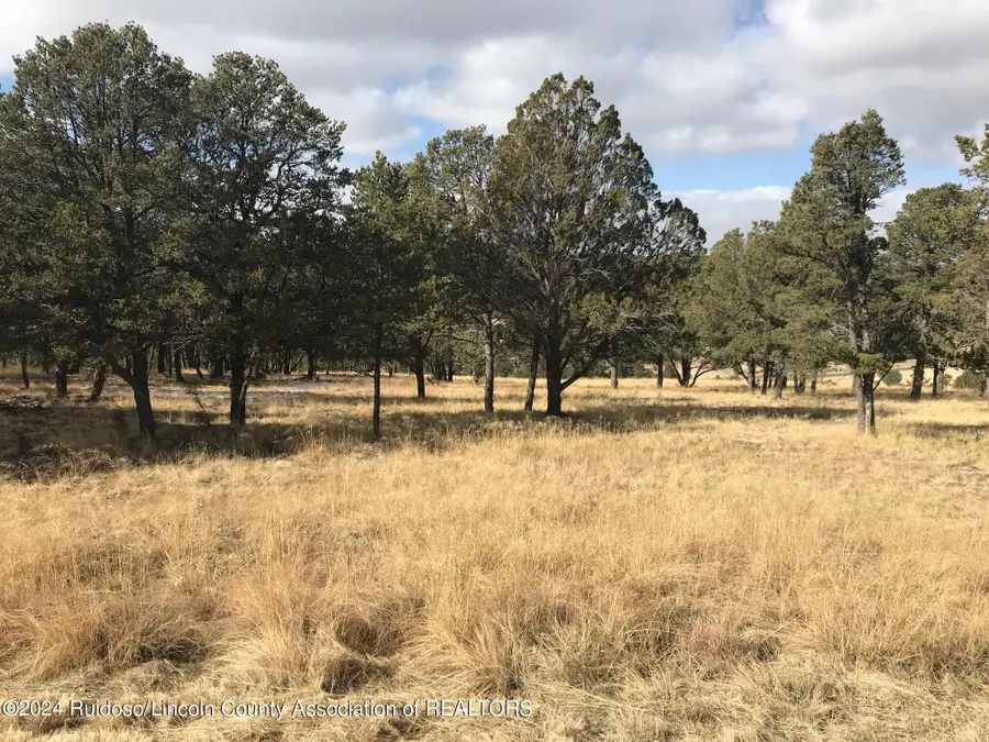 Lot 3 Nambe Court, Alto, NM 88312 - Image #2