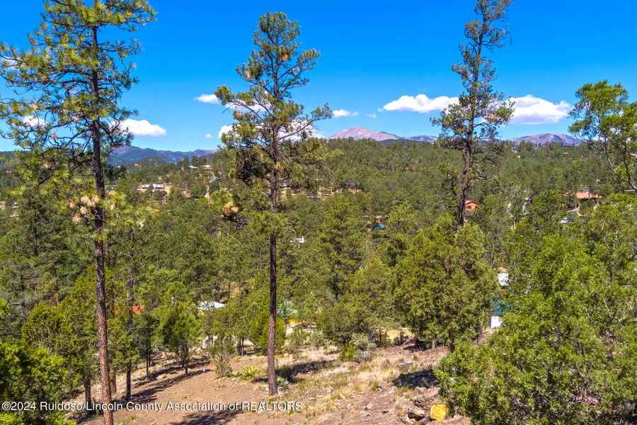 104 Embdy Road, Ruidoso, NM 88345 - #2