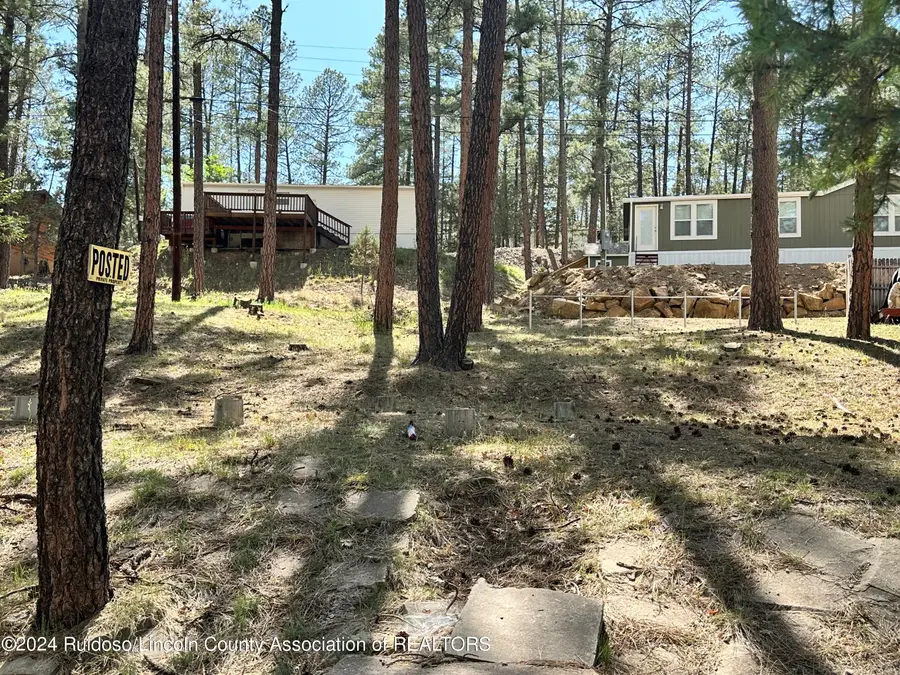 405 Brady Canyon Road, Ruidoso, NM 88345 - Image #2
