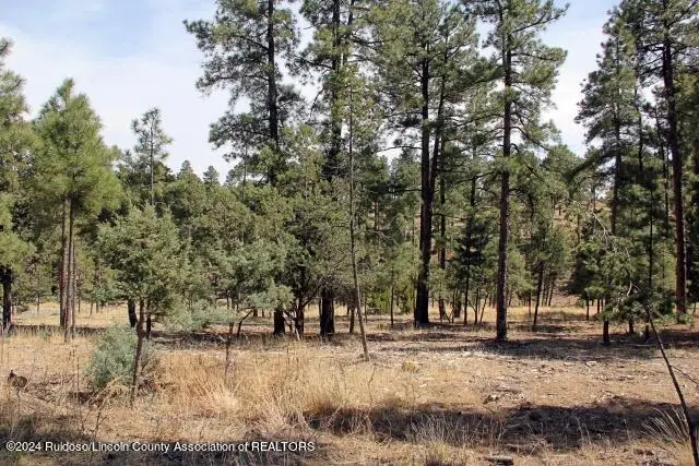 106-108 Highway 48, Alto, NM 88312 - Image #3