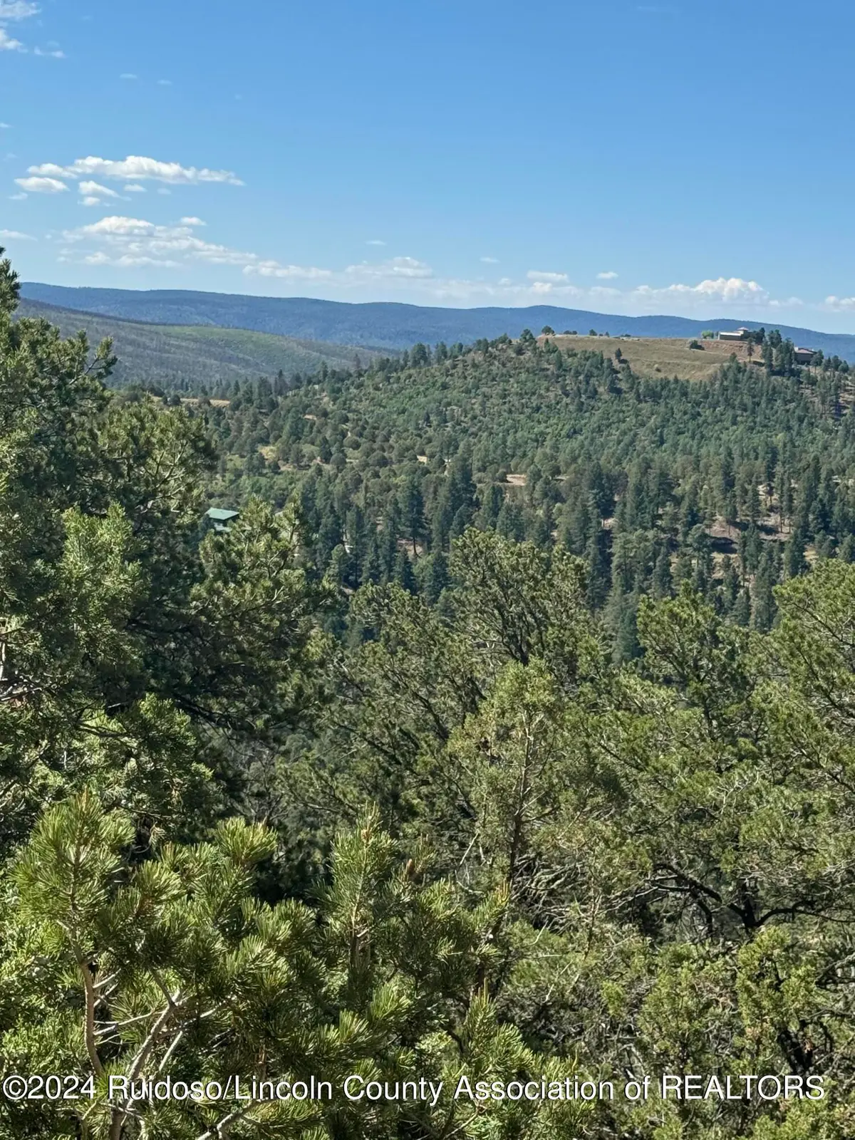 L10C Flute Player, Alto, NM 88312 - Image #1