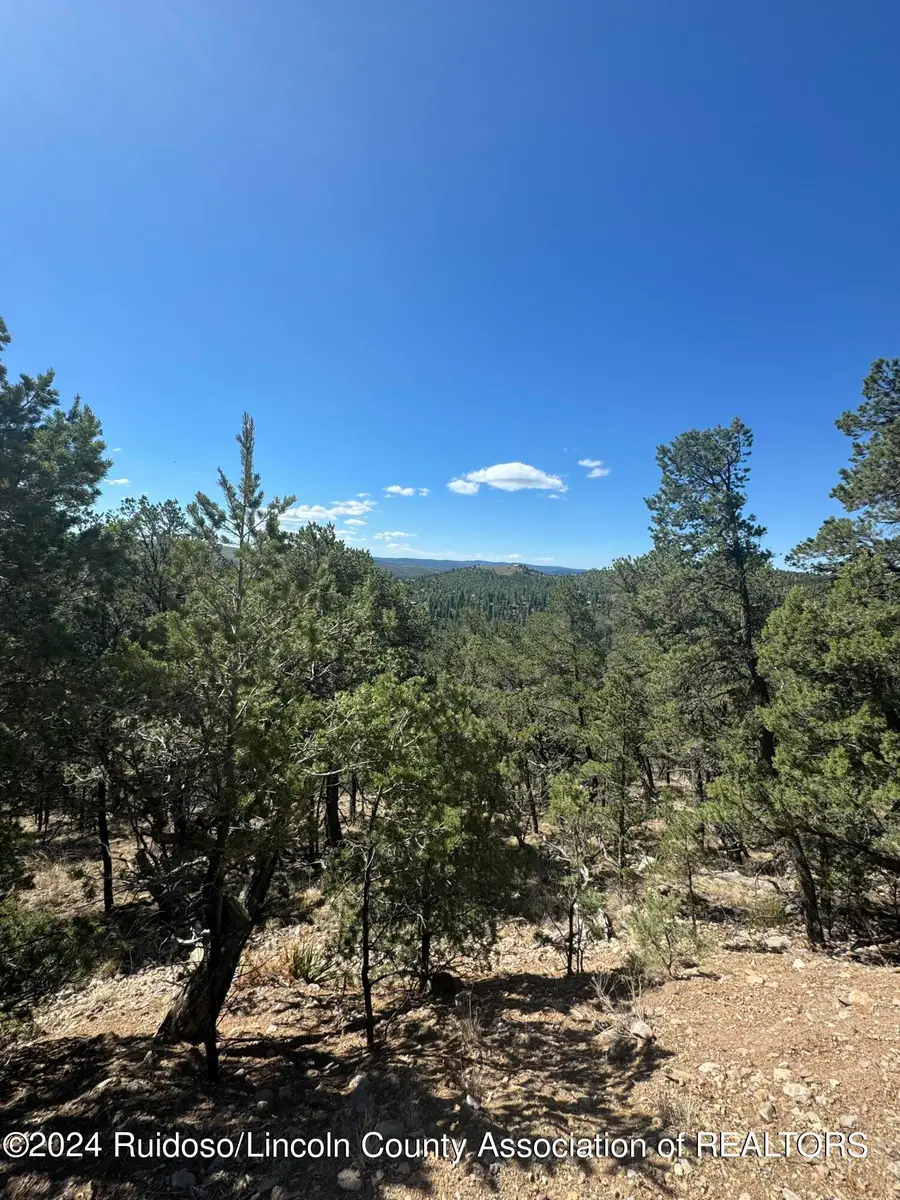 L10C Flute Player, Alto, NM 88312 - Image #2