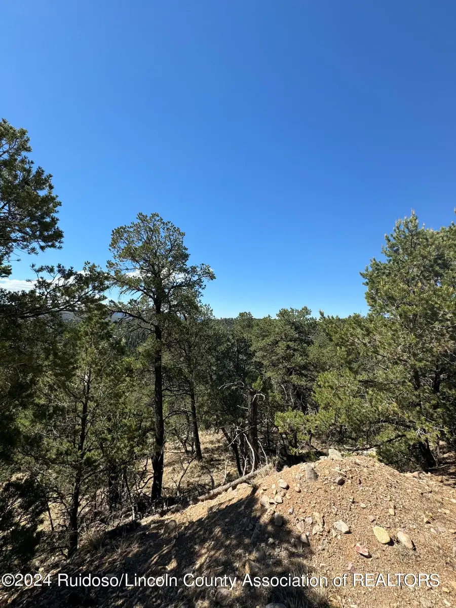 L10C Flute Player, Alto, NM 88312 - Image #3