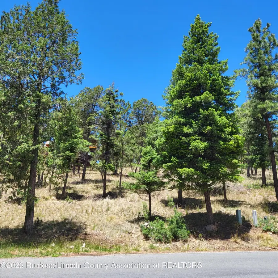 303 Crown Drive, Ruidoso, NM 88345 - #2