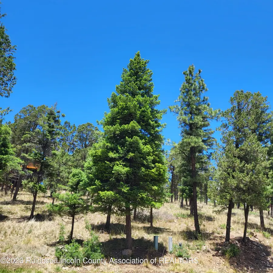303 Crown Drive, Ruidoso, NM 88345 - #3