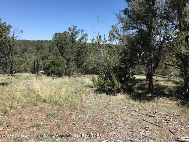 Lot 3 Spencer Road, Alto, NM 88312 - Image #2