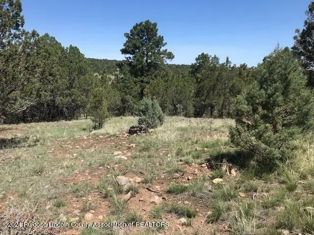 Lot 3 Spencer Road, Alto, NM 88312 - Image #3