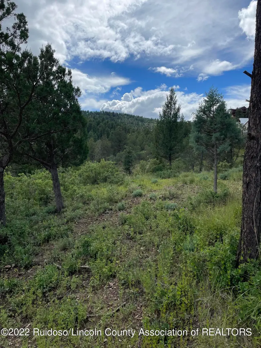 100 Ivanhoe Road, Ruidoso, NM 88345 - #2
