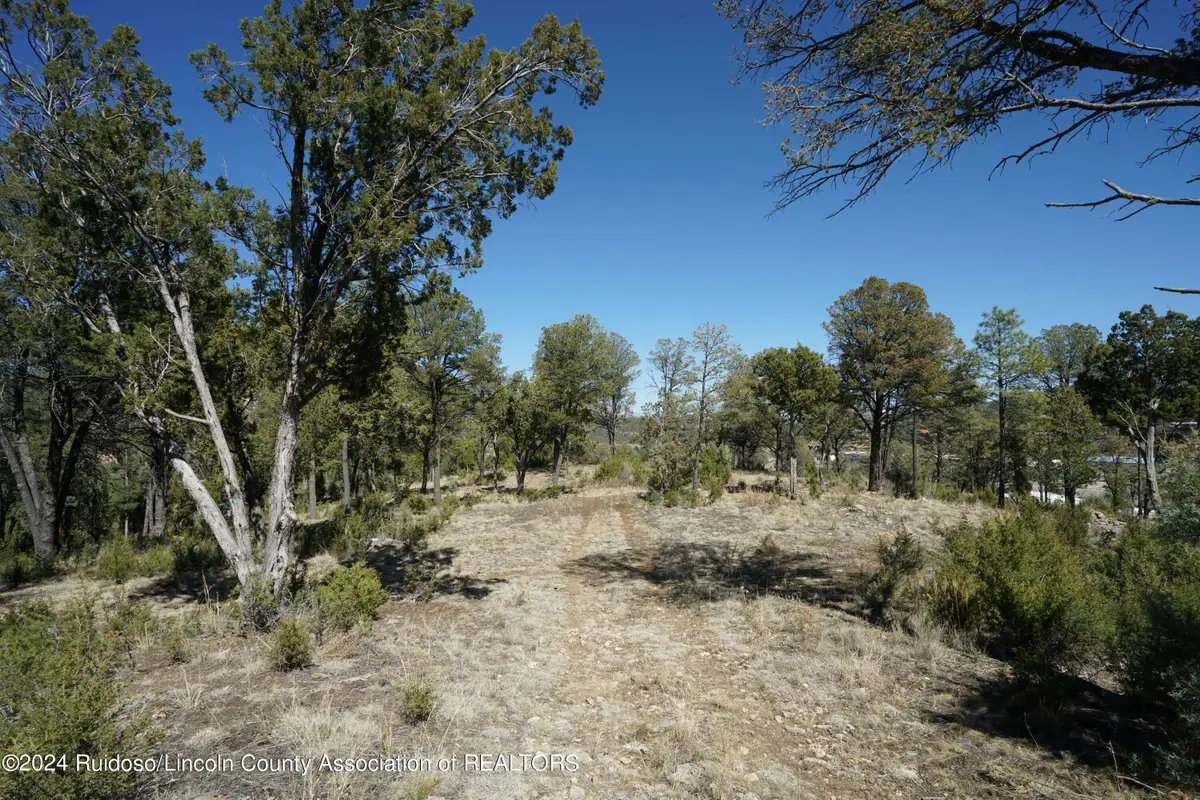 100 Crown Drive, Ruidoso, NM 88345 - #1