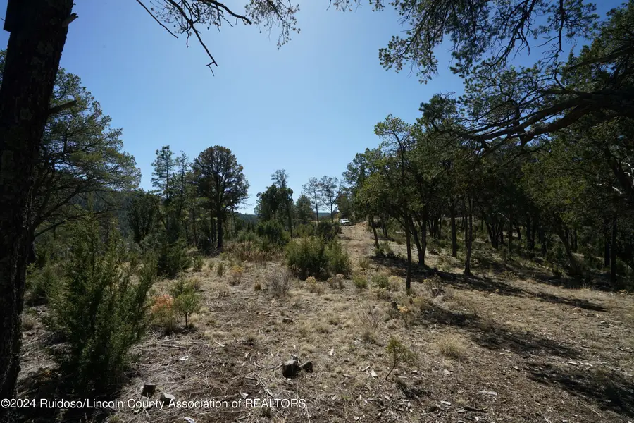 100 Crown Drive, Ruidoso, NM 88345 - #2