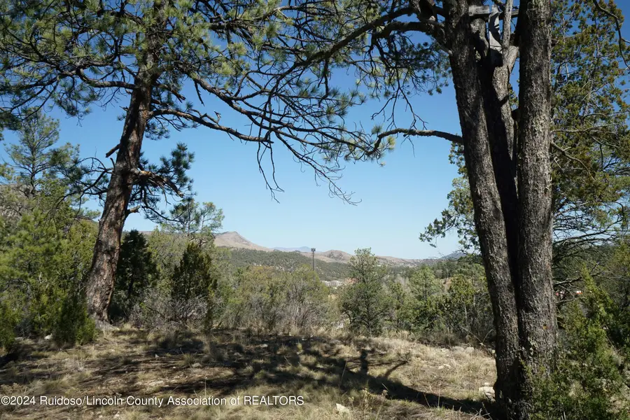100 Crown Drive, Ruidoso, NM 88345 - #3