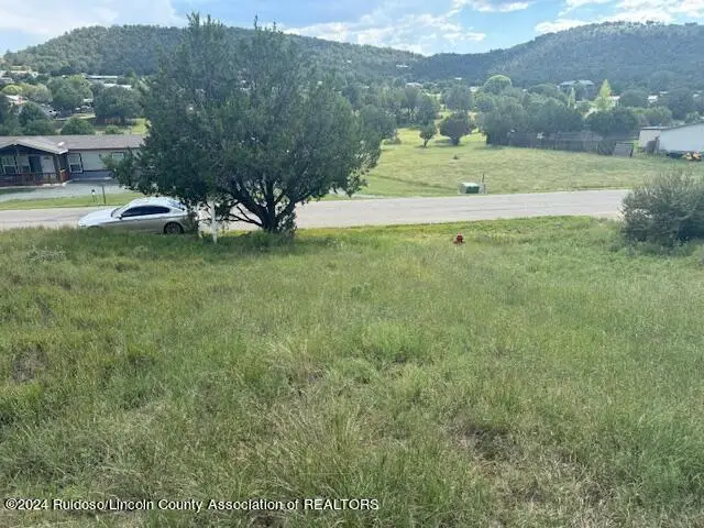 1127 Little Big Horn Road, Alto, NM 88312 - Image #2