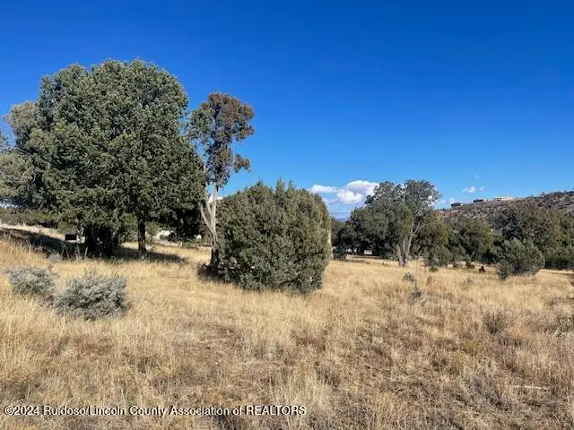 112 Antler Drive, Alto, NM 88312 - Image #3