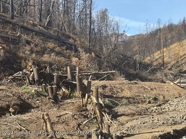 197 Spring Canyon Road, Ruidoso, NM 88345 - #1