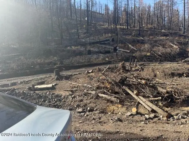 197 Spring Canyon Road, Ruidoso, NM 88345 - #3