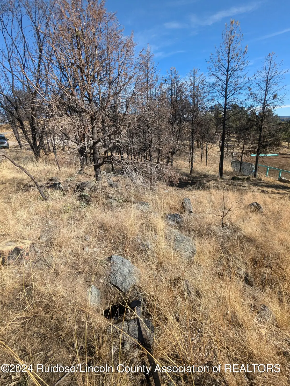 Address Withheld By Seller, Ruidoso, NM 88345 - #1