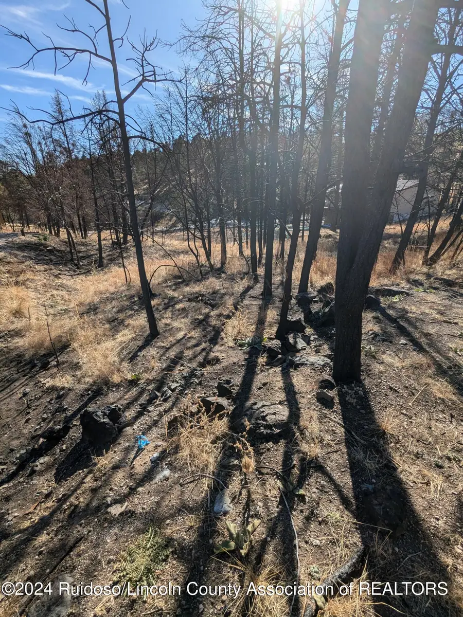 Address Withheld By Seller, Ruidoso, NM 88345 - #3