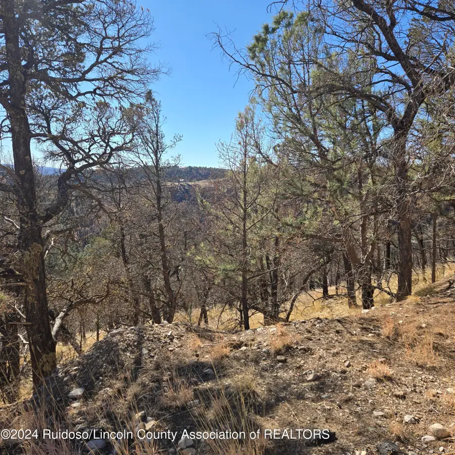 . Flute Player Way, Alto, NM 88312 - Image #2
