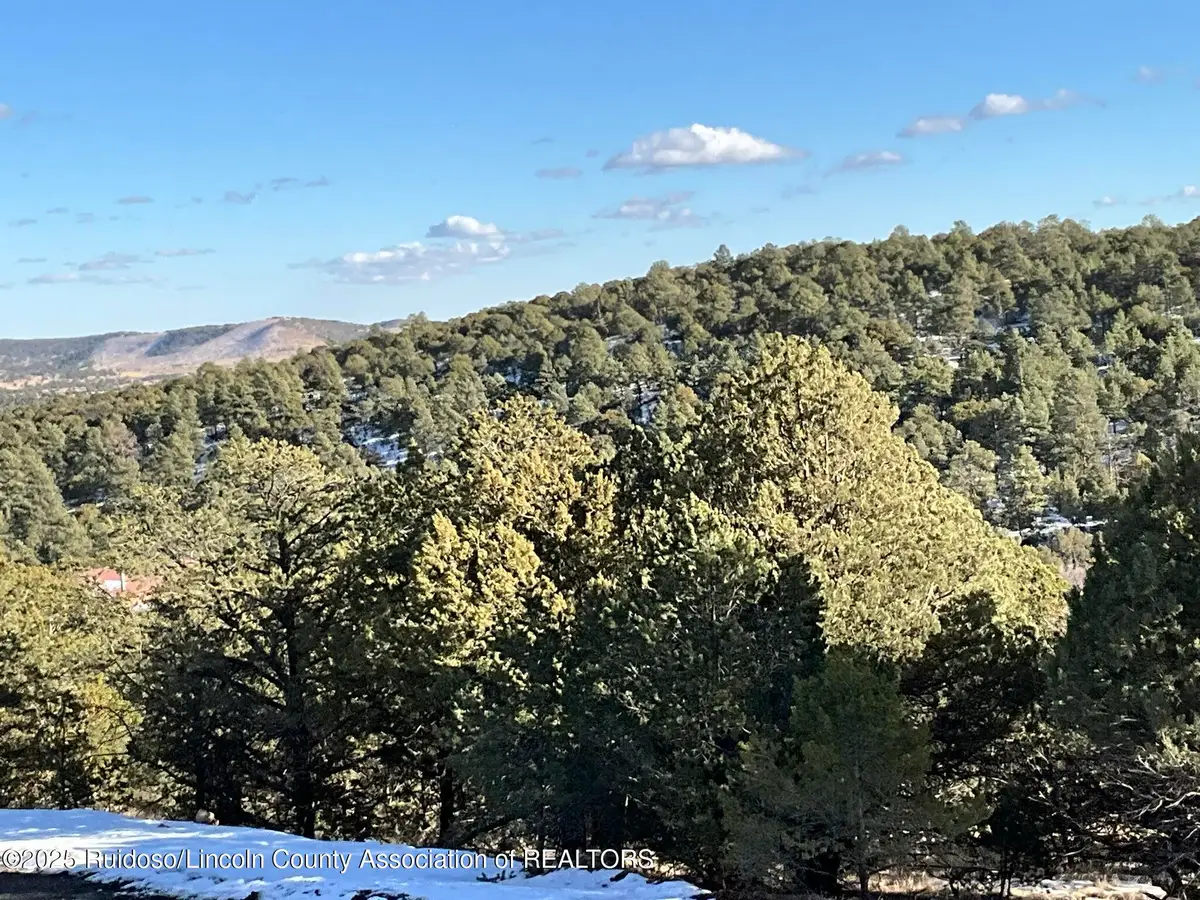 Lt 36 Blk3 Sulkey Court, Nogal, NM 88341 - #1