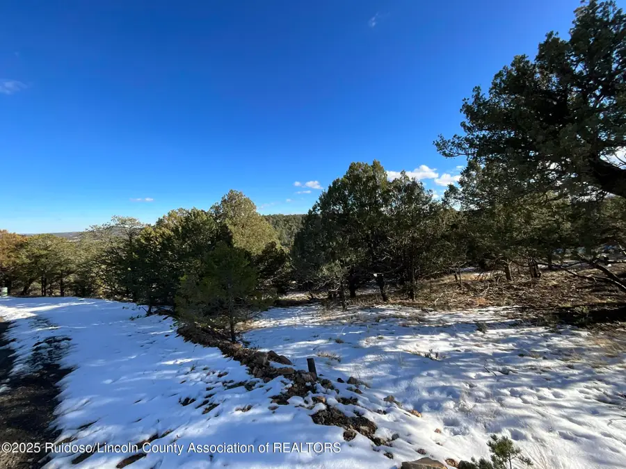 Lt 36 Blk3 Sulkey Court, Nogal, NM 88341 - #2