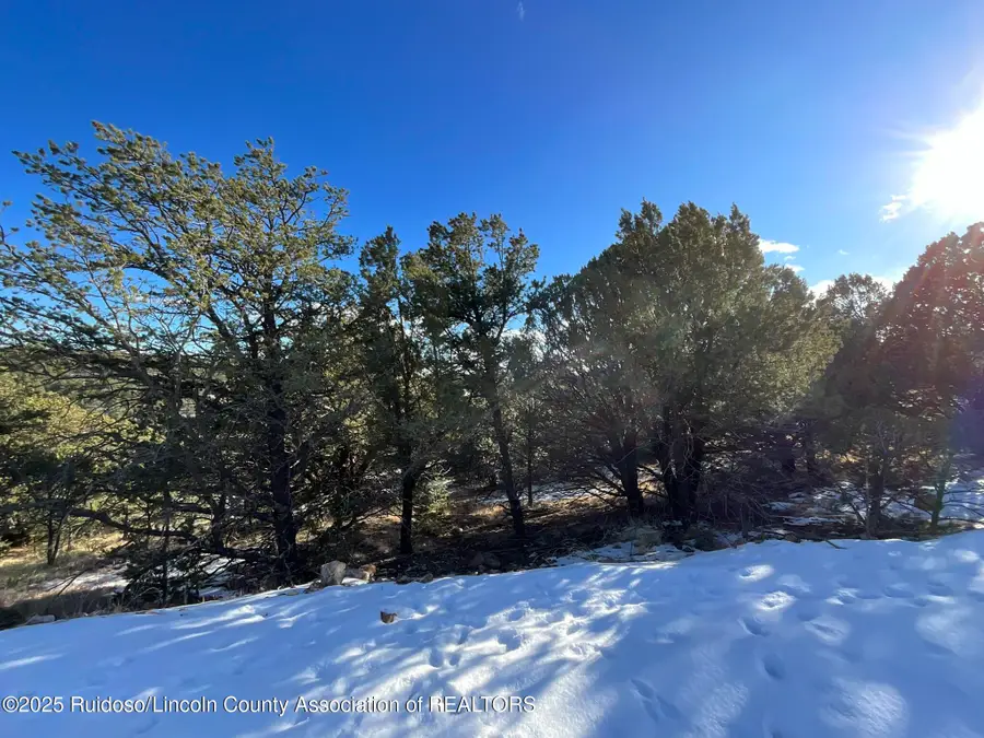 Lt 36 Blk3 Sulkey Court, Nogal, NM 88341 - #3