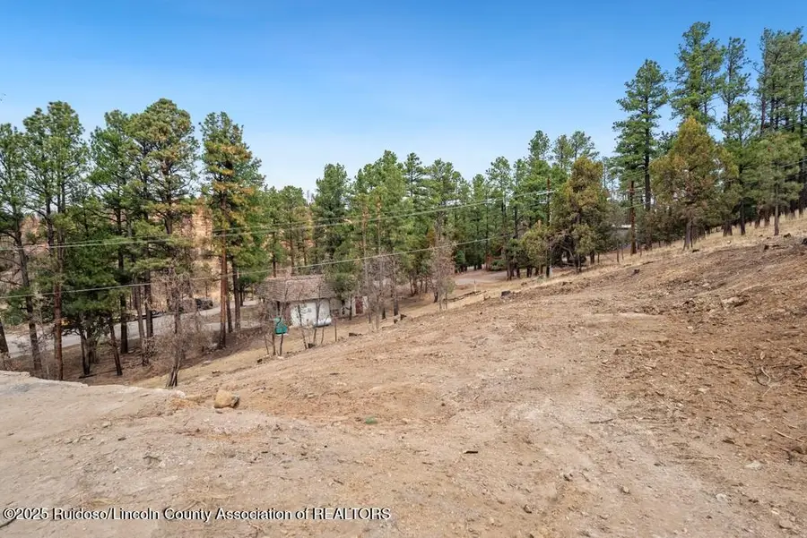 203 Brentwood Drive, Alto, NM 88312 - Image #3