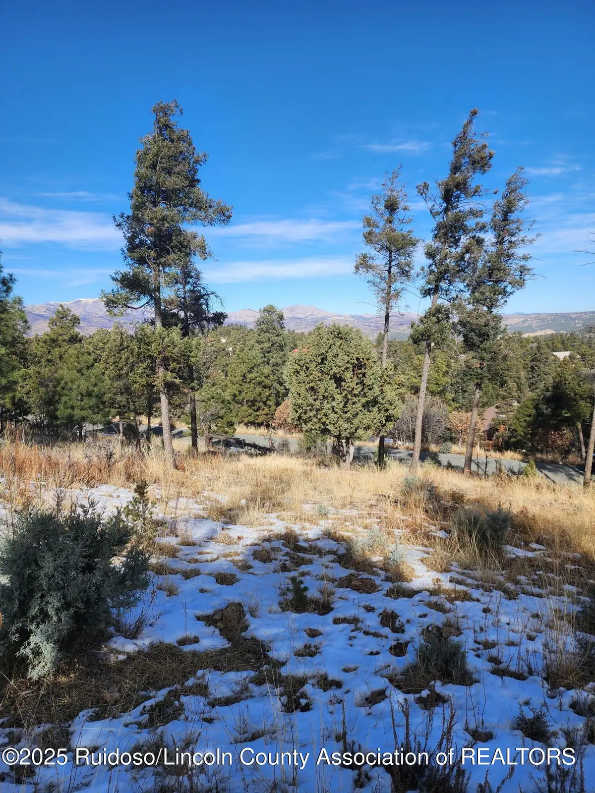 229 Cummings Drive, Ruidoso, NM 88345 - Image #1
