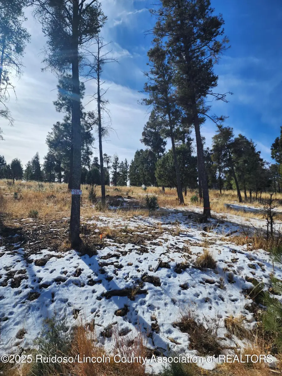 229 Cummings Drive, Ruidoso, NM 88345 - Image #2