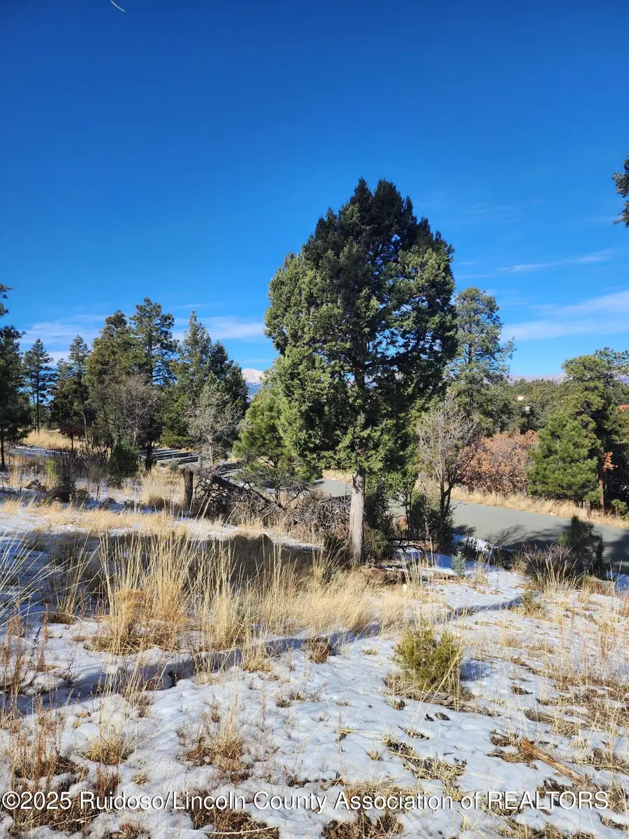 229 Cummings Drive, Ruidoso, NM 88345 - Image #3