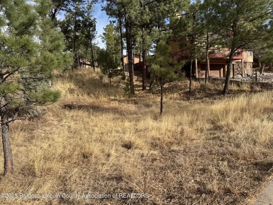 105 Ll Davis Drive, Ruidoso, NM 88345 - #2
