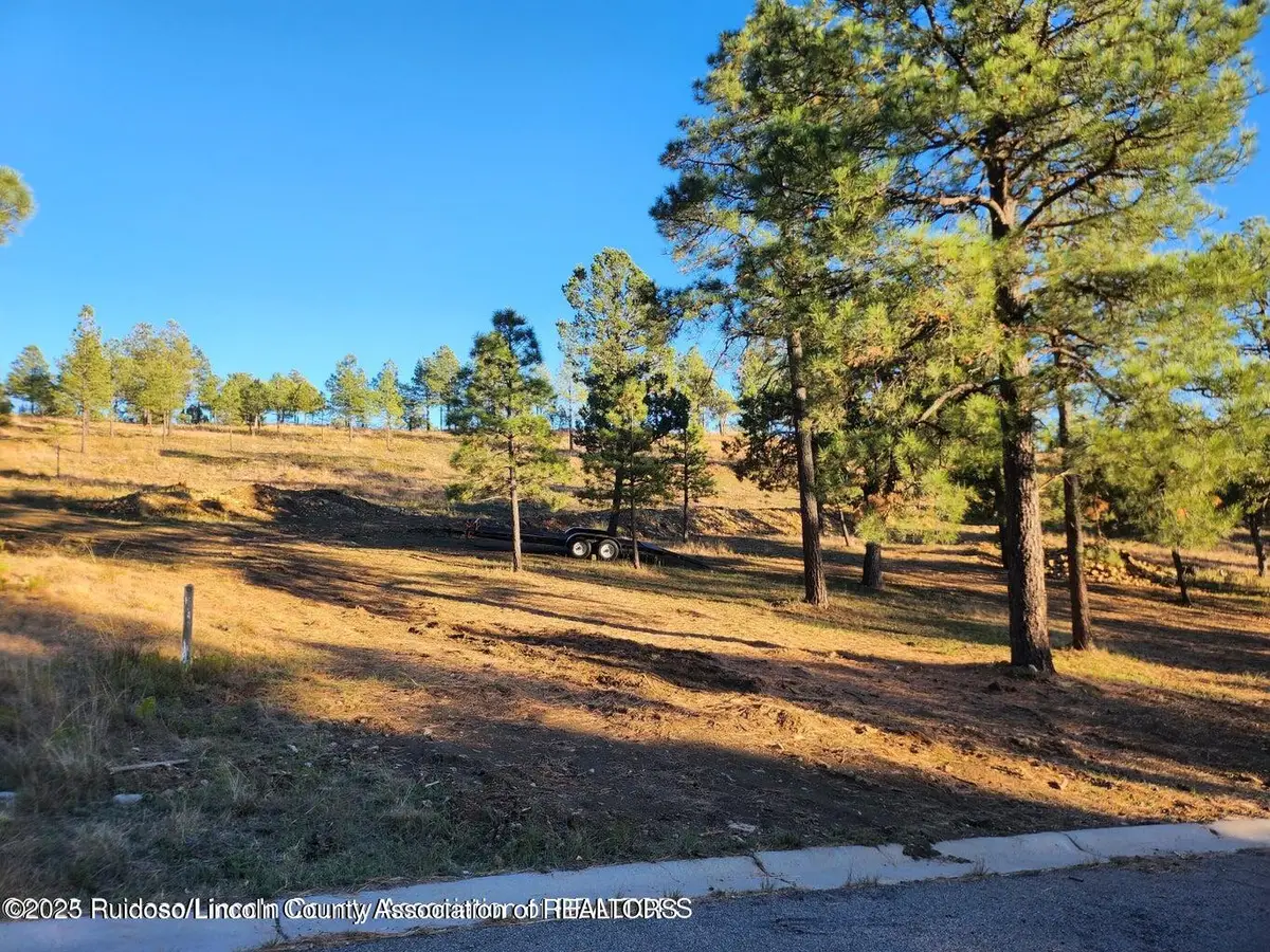 118 Charles Mcclellan Drive, Ruidoso, NM 88345 - #1