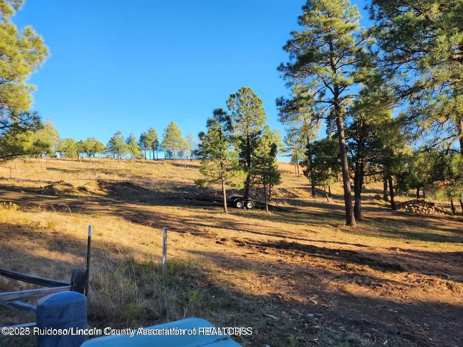 118 Charles Mcclellan Drive, Ruidoso, NM 88345 - #2