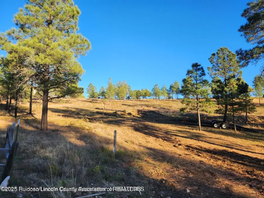 118 Charles Mcclellan Drive, Ruidoso, NM 88345 - #3