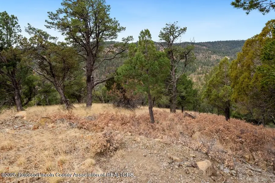 109 Middle Fork, Ruidoso, NM 88345 - #3