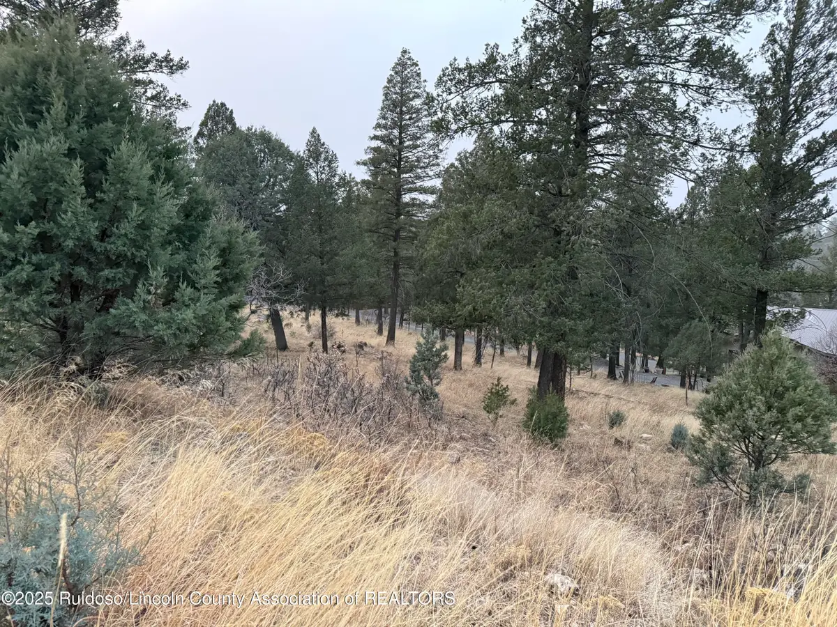 232 Cummings Drive, Ruidoso, NM 88345 - #1