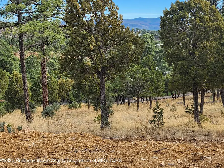 143 Charles Mcclellan Drive, Ruidoso, NM 88345 - #2