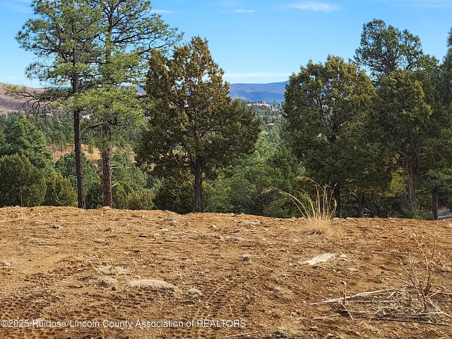 143 Charles Mcclellan Drive, Ruidoso, NM 88345 - #3