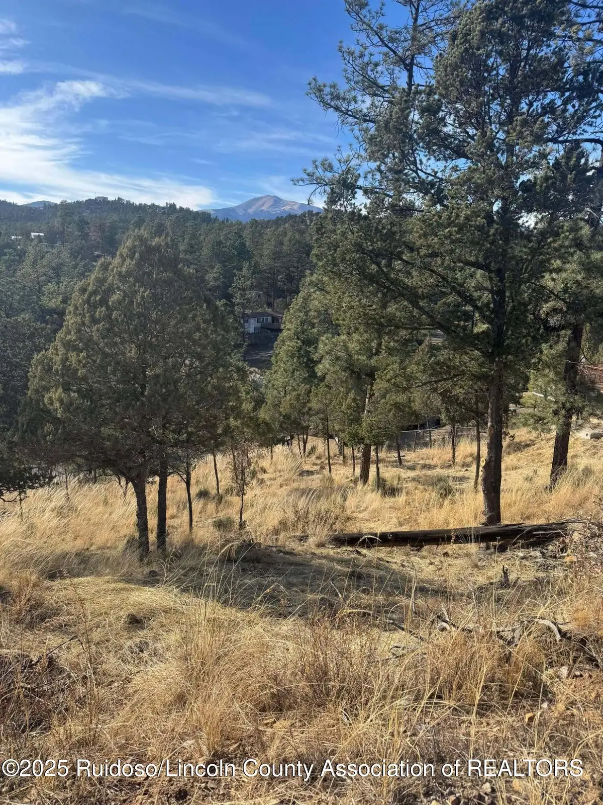 110 Rockmount Drive, Ruidoso, NM 88345 - #1