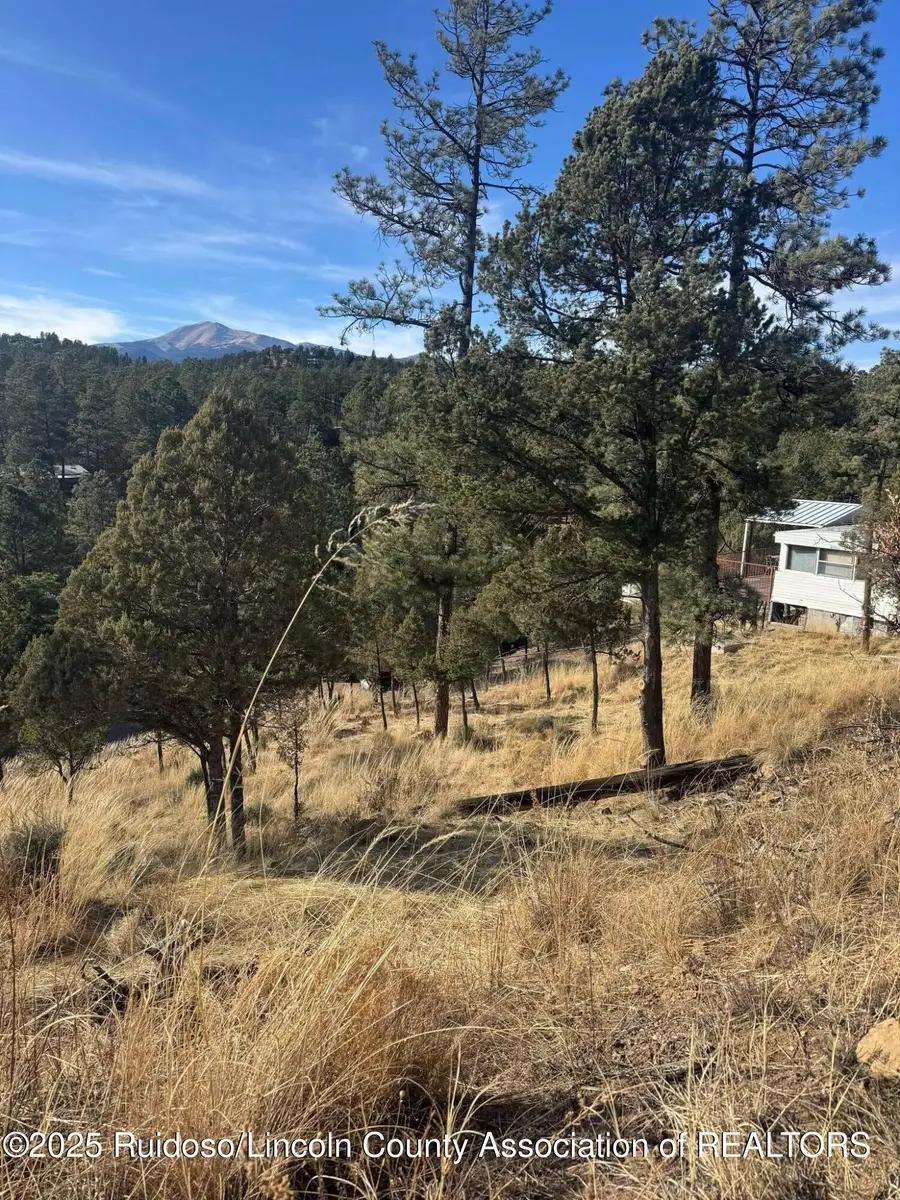 110 Rockmount Drive, Ruidoso, NM 88345 - #2