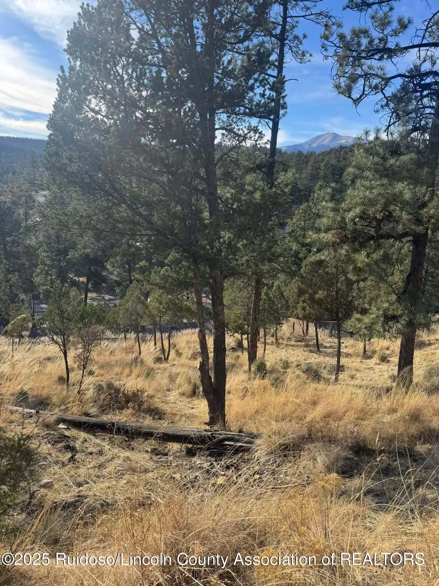 110 Rockmount Drive, Ruidoso, NM 88345 - #3