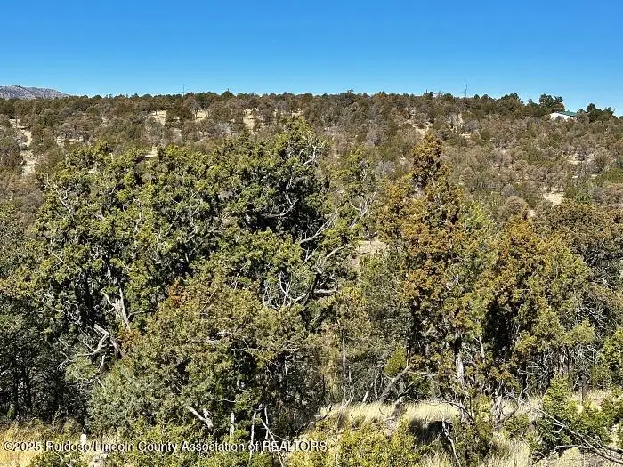 256 Caprock Ct., Alto, NM 88312 - Image #2