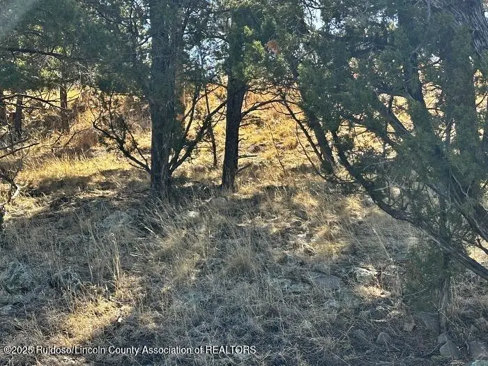256 Caprock Ct., Alto, NM 88312 - Image #3