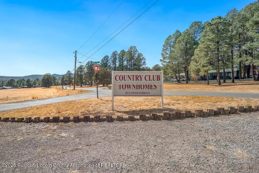 203 Lower Terrace Drive, Ruidoso, NM 88345 - #2