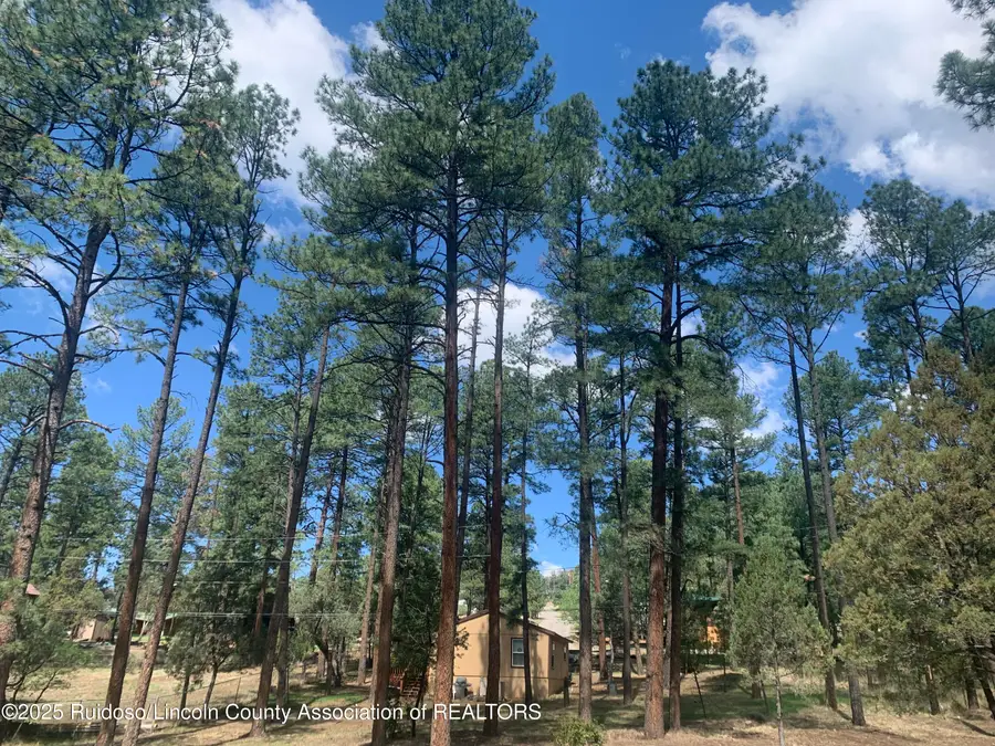 107 Mary Drive, Ruidoso, NM 88345 - Image #2