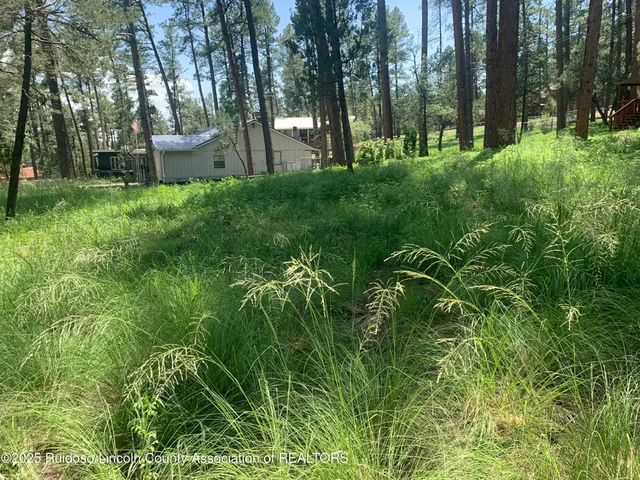 107 Mary Drive, Ruidoso, NM 88345 - Image #3