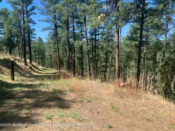 104 Quince Circle, Ruidoso, NM 88345